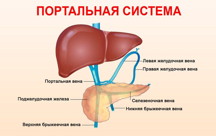 Портальная гипертензия