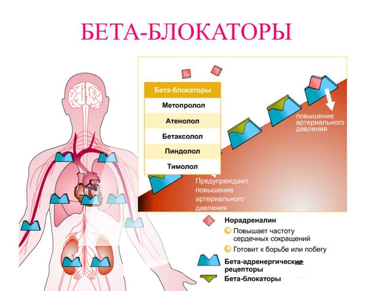 Бета-адреноблокаторы