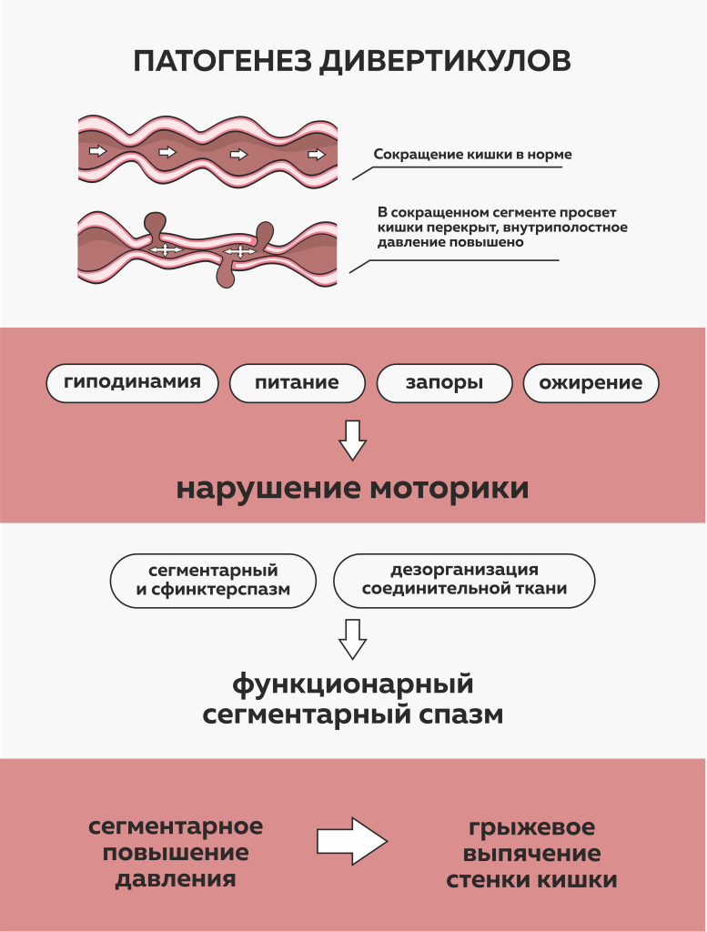 кишечник инфографика (1).png