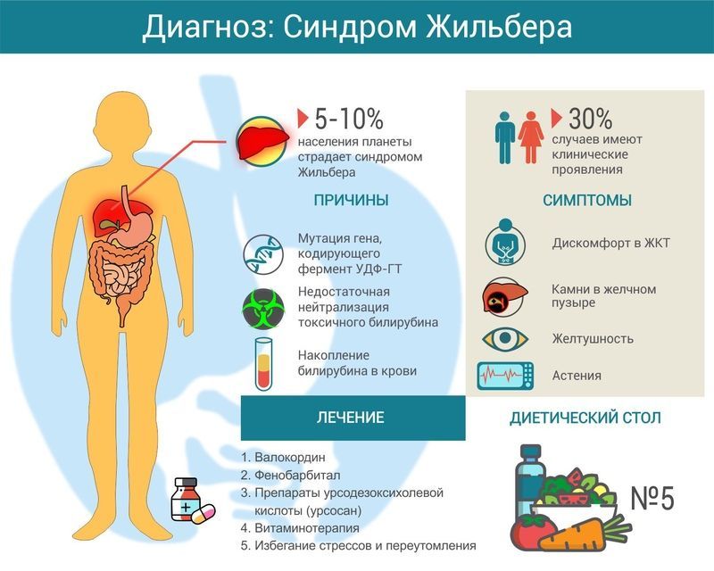 Синдром Жильбера Синдром Жильбера